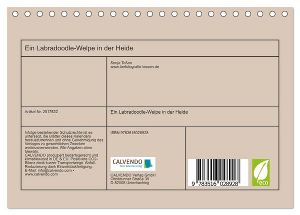 Produktbild: Ein Labradoodle-Welpe in der Heide (Tischkalender 2026 DIN A5 quer), CALVENDO Monatskalender