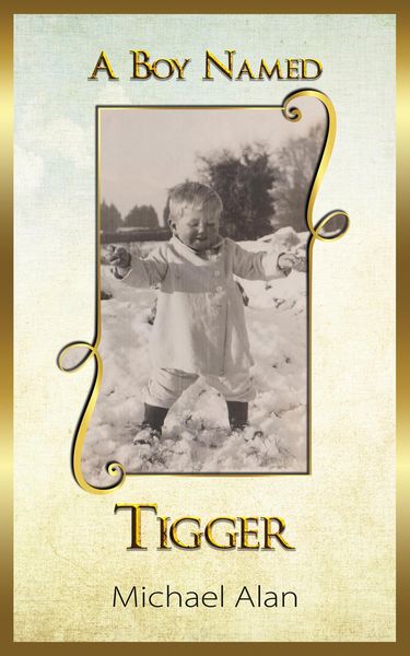 Produktbild: Boy Named Tigger