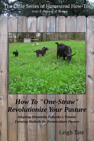 Produktbild: How To "One-Straw" Revolutionize Your Pasture: Adapting Masanobu Fukuoka's Natural Farming Methods for Permaculture Pasture (The Little Series of Home