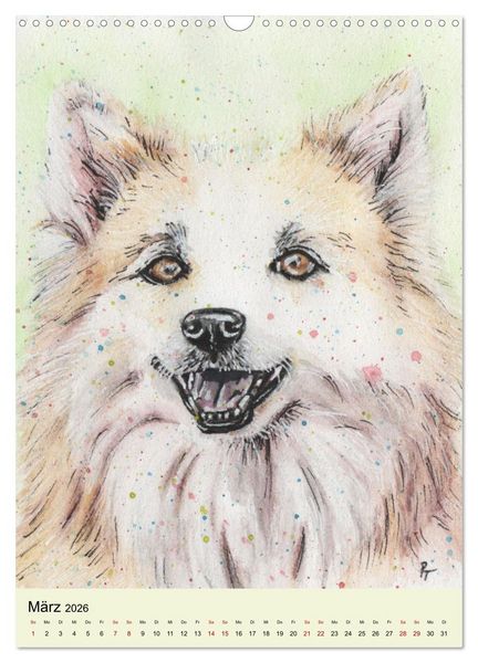 Produktbild: Hundeportr&auml;ts - Aquarellzeichnungen von Pia Tasche (Wandkalender 2026 DIN A3 hoch), CALVENDO Monatskalender
