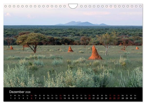 Produktbild: Lichterf&uuml;lltes Namibia (Wandkalender 2026 DIN A4 quer), CALVENDO Monatskalender