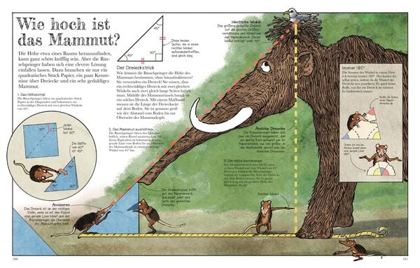 Produktbild: Das Mammut-Buch Mathematik