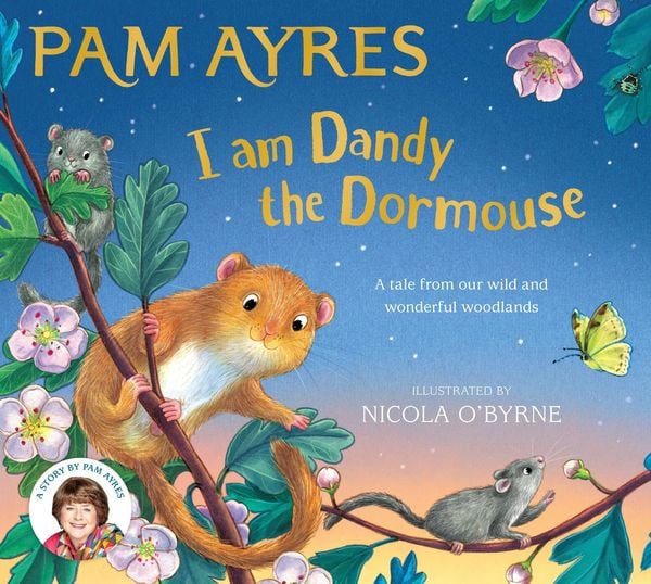Produktbild: I am Dandy the Dormouse