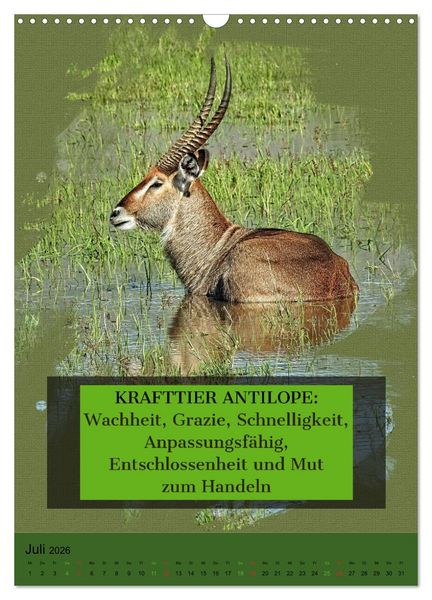 Produktbild: Afrikanische Krafttiere und deren Bedeutung (Wandkalender 2026 DIN A3 hoch), CALVENDO Monatskalender