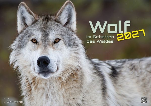 Produktbild: Wolf &ndash; Im Schatten des Waldes - 2027 - Kalender DIN A2