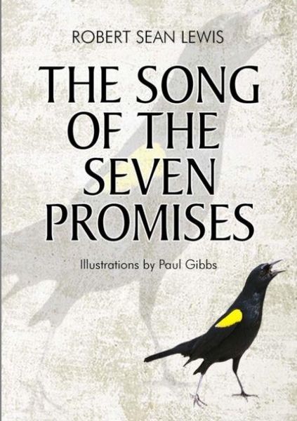 Produktbild: The Song of the Seven Promises