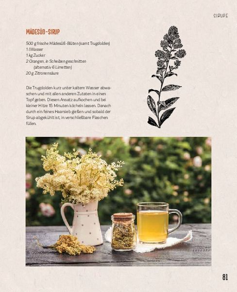 Produktbild: Essbare Sch&auml;tze aus der Natur: Erkennen &ndash; Sammeln &ndash; Zubereiten