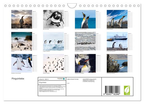 Produktbild: Pinguinliebe (Wandkalender 2026 DIN A4 quer), CALVENDO Monatskalender