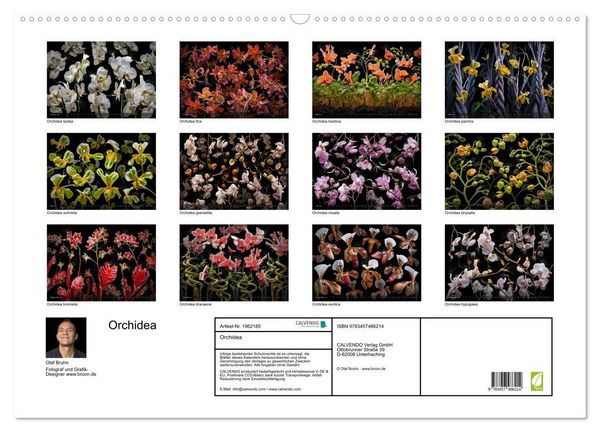 Produktbild: Orchidea (Wandkalender 2026 DIN A2 quer), CALVENDO Monatskalender
