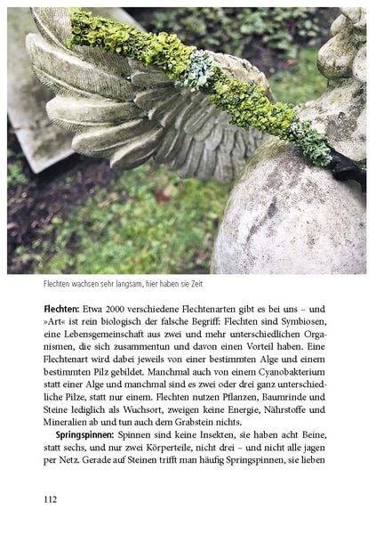 Produktbild: Der Friedhof lebt!