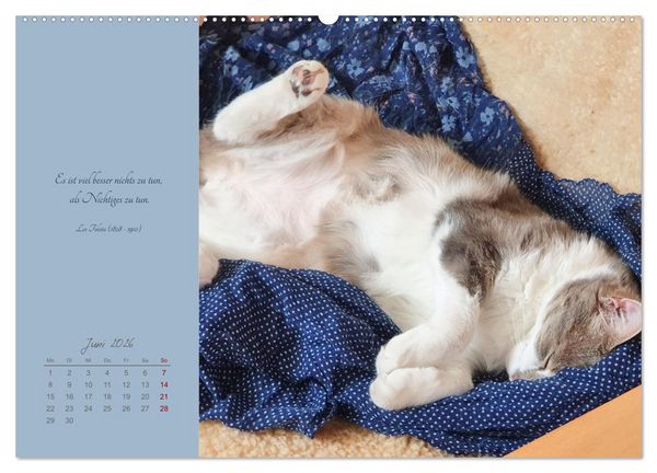 Produktbild: H&auml;ng einfach mal ab (hochwertiger Premium Wandkalender 2026 DIN A2 quer), Kunstdruck in Hochglanz