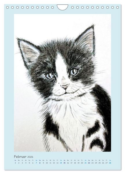 Produktbild: PortraiTierART Samtpf&ouml;tchen (Wandkalender 2026 DIN A4 hoch), CALVENDO Monatskalender