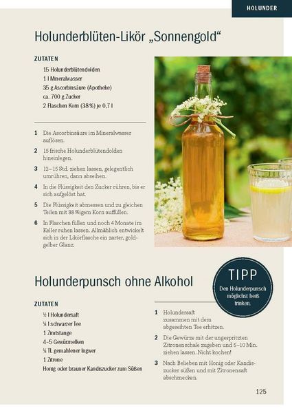 Produktbild: Heimische Fr&uuml;chte &ndash; Rezepte-Buch f&uuml;r saionales & regionales Wild- und Gartenobst