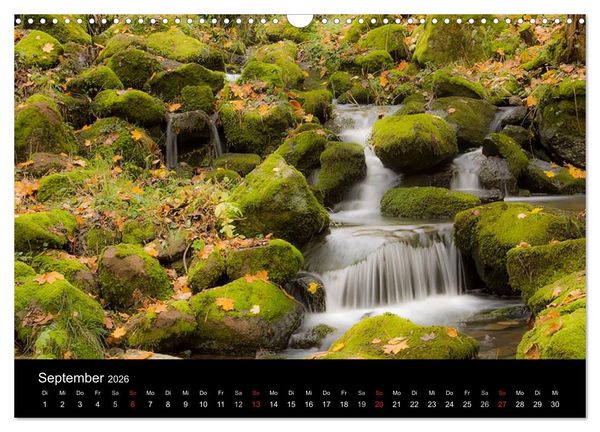 Produktbild: Meine Heimat Westerwald (Wandkalender 2026 DIN A3 quer), CALVENDO Monatskalender