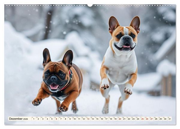 Produktbild: Frenchies in Spiellaune (hochwertiger Premium Wandkalender 2026 DIN A2 quer), Kunstdruck in Hochglanz
