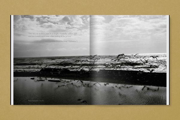 Produktbild: GTX. Galveston/TX and the Gulf Coast
