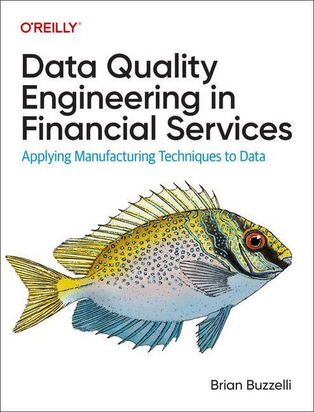 Produktbild: Data Quality Engineering in Financial Services