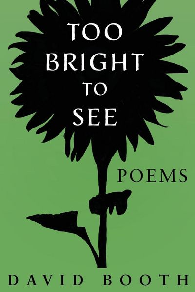 Produktbild: Too Bright to See
