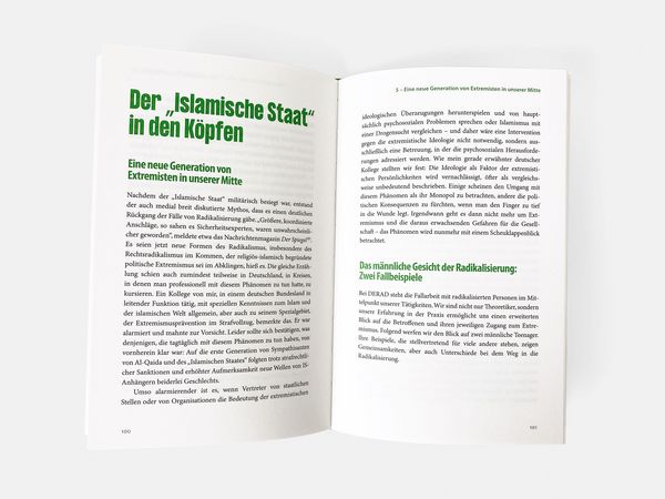 Produktbild: Die Radikalisierten