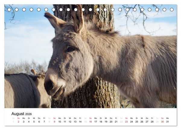 Produktbild: Bauernhoftiere (Tischkalender 2026 DIN A5 quer), CALVENDO Monatskalender