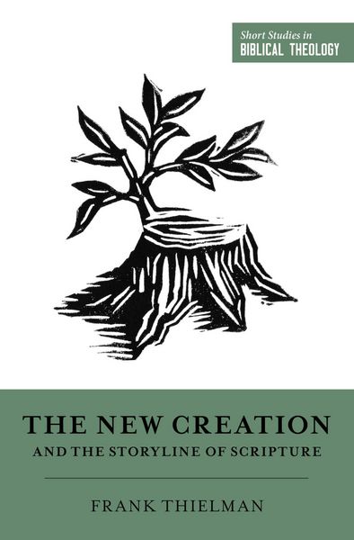 Produktbild: The New Creation and the Storyline of Scripture