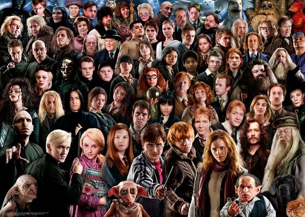 Produktbild: Erwachsenenpuzzle 1000 Teile - Challenge Harry Potter