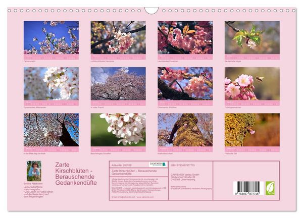 Produktbild: Zarte Kirschbl&uuml;ten - Berauschende Gedankend&uuml;fte (Wandkalender 2026 DIN A3 quer), CALVENDO Monatskalender