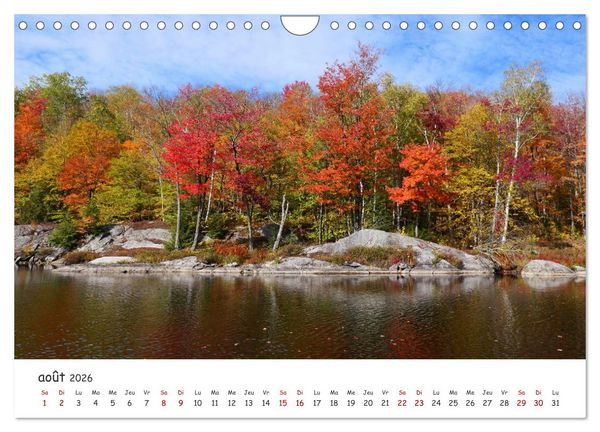Produktbild: Automne haut en couleurs (Calendrier mural 2026 DIN A4 vertical), CALVENDO calendrier mensuel