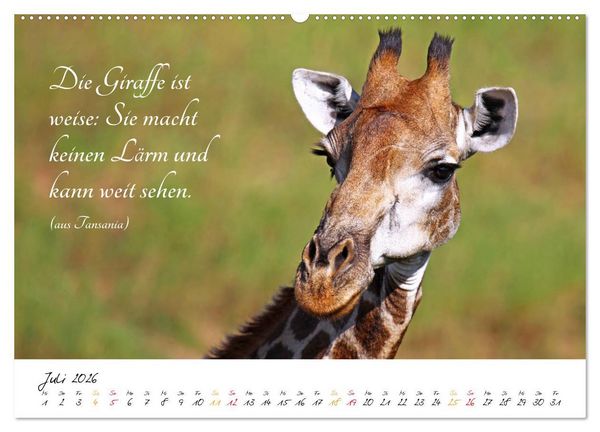 Produktbild: AFRIKA - Kontinent der Poesie (Wandkalender 2026 DIN A2 quer), CALVENDO Monatskalender