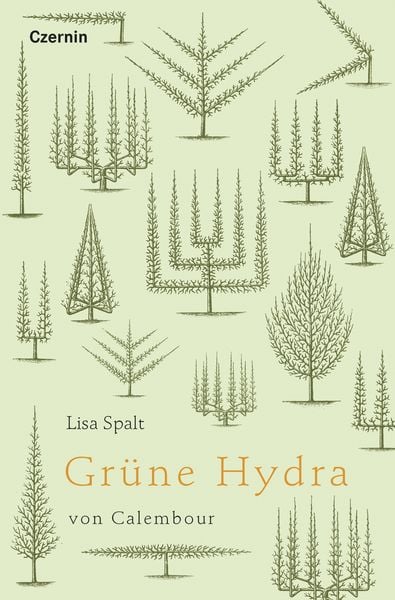 Grüne Hydra von Calembour, Gebundene Ausgabe von Lisa Spalt, Czernin, 9783707607956