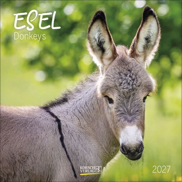 Produktbild: Esel 2027