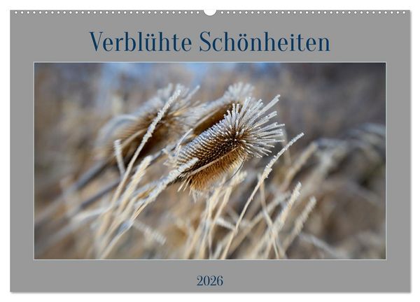 Produktbild: Verbl&uuml;hte Sch&ouml;nheiten (Wandkalender 2026 DIN A2 quer), CALVENDO Monatskalender