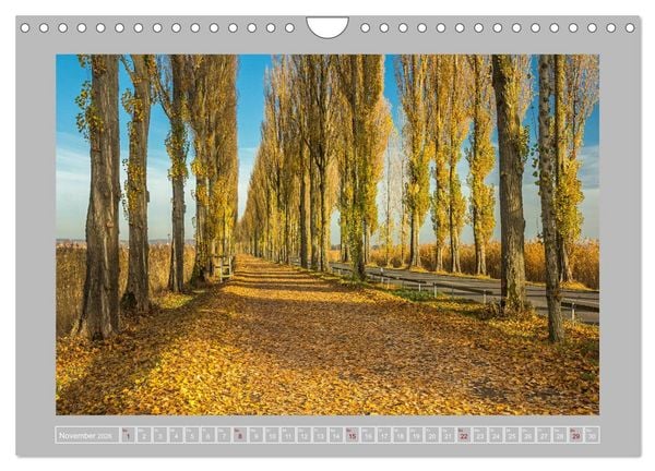 Produktbild: Insel Reichenau - Gr&ouml;&szlig;te Insel im Bodensee (Wandkalender 2026 DIN A4 quer), CALVENDO Monatskalender