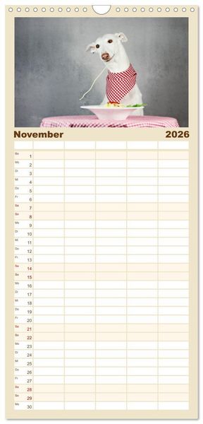 Produktbild: Familienplaner 2026 - Zauberhafte Windhunde mit 5 Spalten (Wandkalender, 21 x 45 cm) CALVENDO
