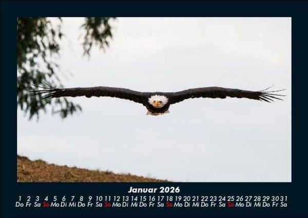 Produktbild: Adler 2026 Fotokalender DIN A5