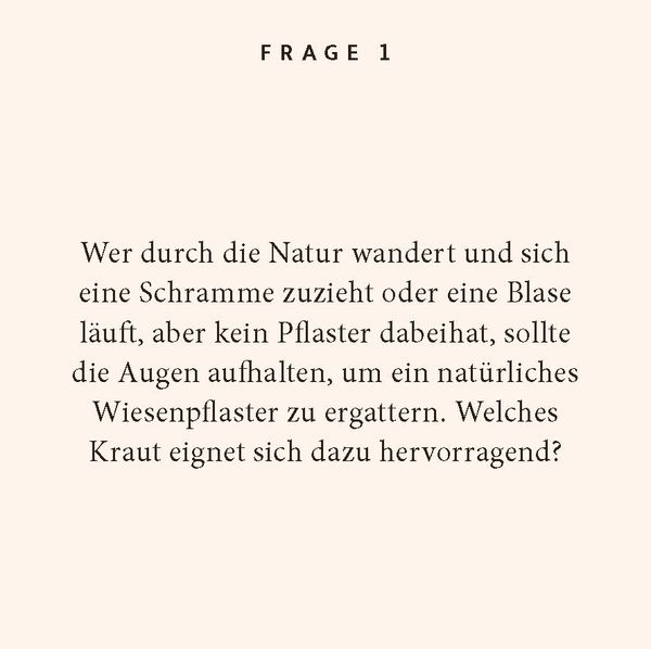 Produktbild: Kr&auml;uter-Quiz