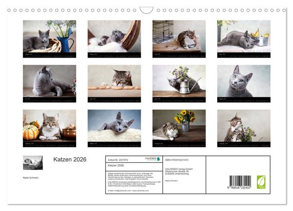 Produktbild: Katzen 2026 (Wandkalender 2026 DIN A3 quer), CALVENDO Monatskalender