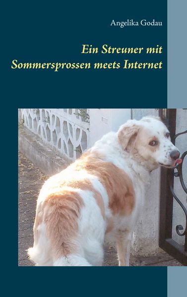 Produktbild: Ein Streuner mit Sommersprossen meets Internet