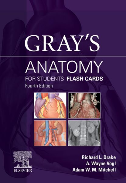 Produktbild: Gray's Anatomy for Students Flash Cards E-Book