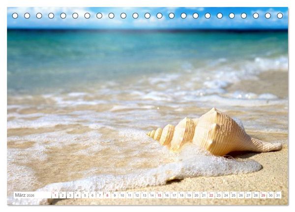 Produktbild: Malediven - Traumstr&auml;nde im Paradies (Tischkalender 2026 DIN A5 quer), CALVENDO Monatskalender