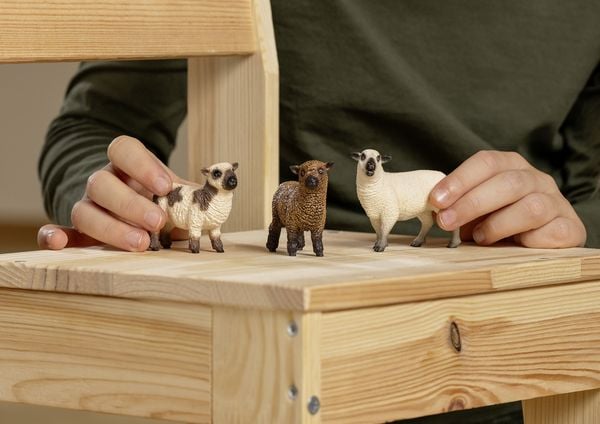 Produktbild: schleich&reg; Farm World Schaffreunde
