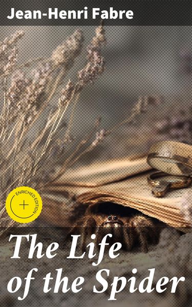 Produktbild: The Life of the Spider
