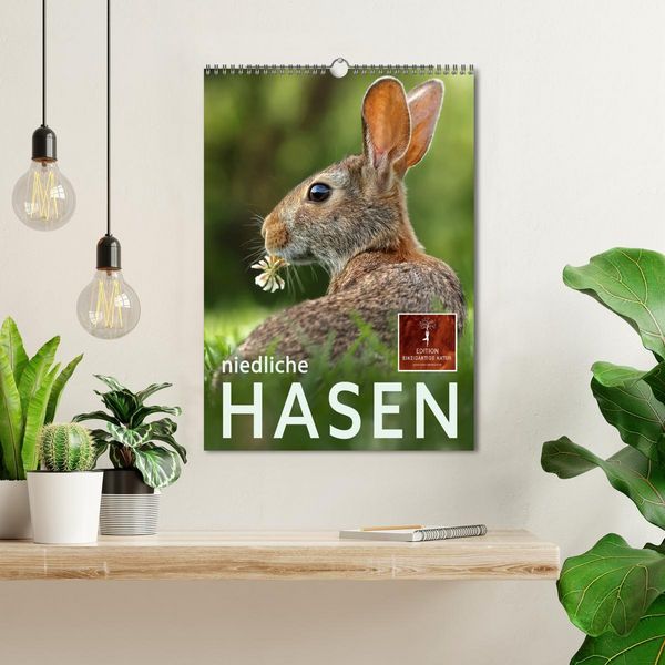 Produktbild: Niedliche Hasen (Wandkalender 2026 DIN A3 hoch), CALVENDO Monatskalender