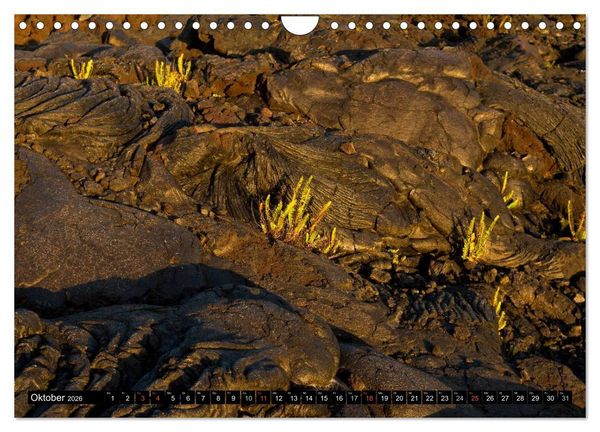 Produktbild: Hawai'i - Teil 1 (Wandkalender 2026 DIN A4 quer), CALVENDO Monatskalender