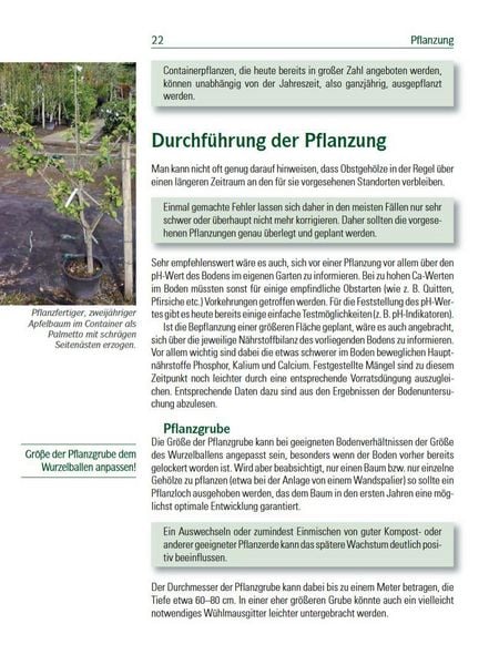 Produktbild: Spalierobst f&uuml;r Mauer, Hecke, Pergola...
