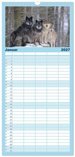 Produktbild: Familienplaner 2027 - Kanadische W&ouml;lfe im Winter mit 5 Spalten (Wandkalender, 21 x 45 cm) CALVENDO