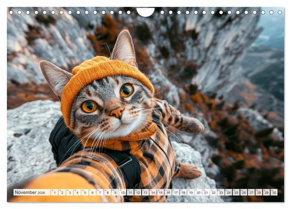 Produktbild: KATZEN-SELFIES Tierische Reiselust (Wandkalender 2026 DIN A4 quer), CALVENDO Monatskalender
