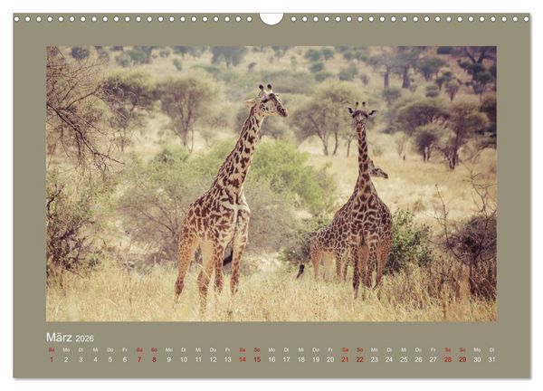Produktbild: Tansania - Mensch, Tier und Landschaft (Wandkalender 2026 DIN A3 quer), CALVENDO Monatskalender