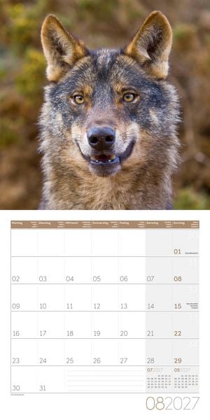 Produktbild: W&ouml;lfe Kalender 2027 - 30x30 - Art12