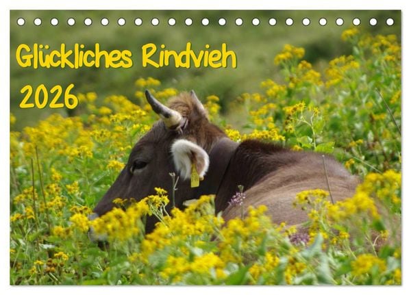 Produktbild: Gl&uuml;ckliches Rindvieh 2026 (Tischkalender 2026 DIN A5 quer), CALVENDO Monatskalender
